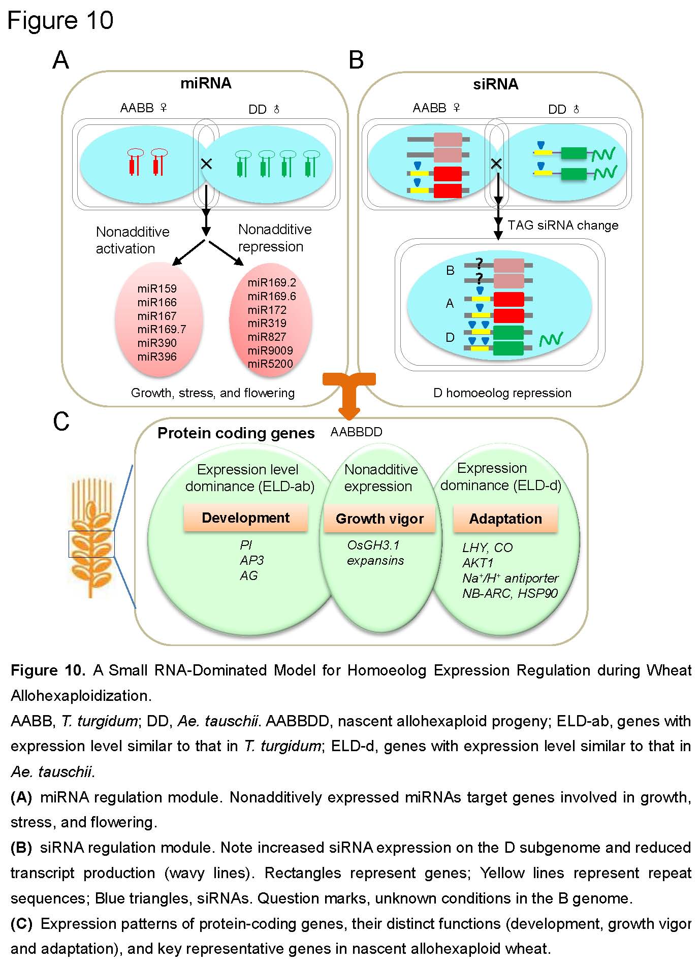 1-内容图片.jpg 1-内容图片.jpg