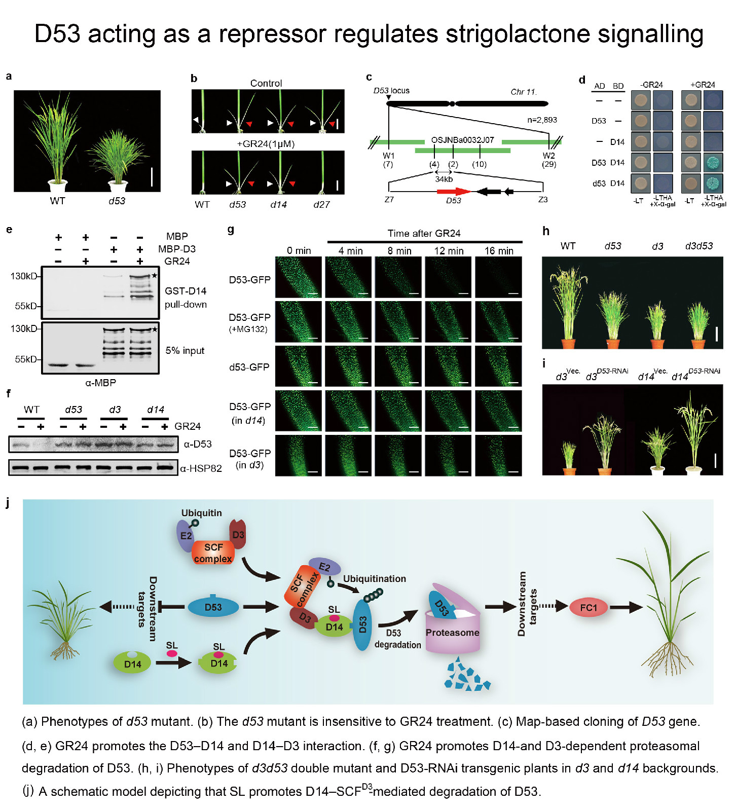 3-内容.jpg 3-内容.jpg