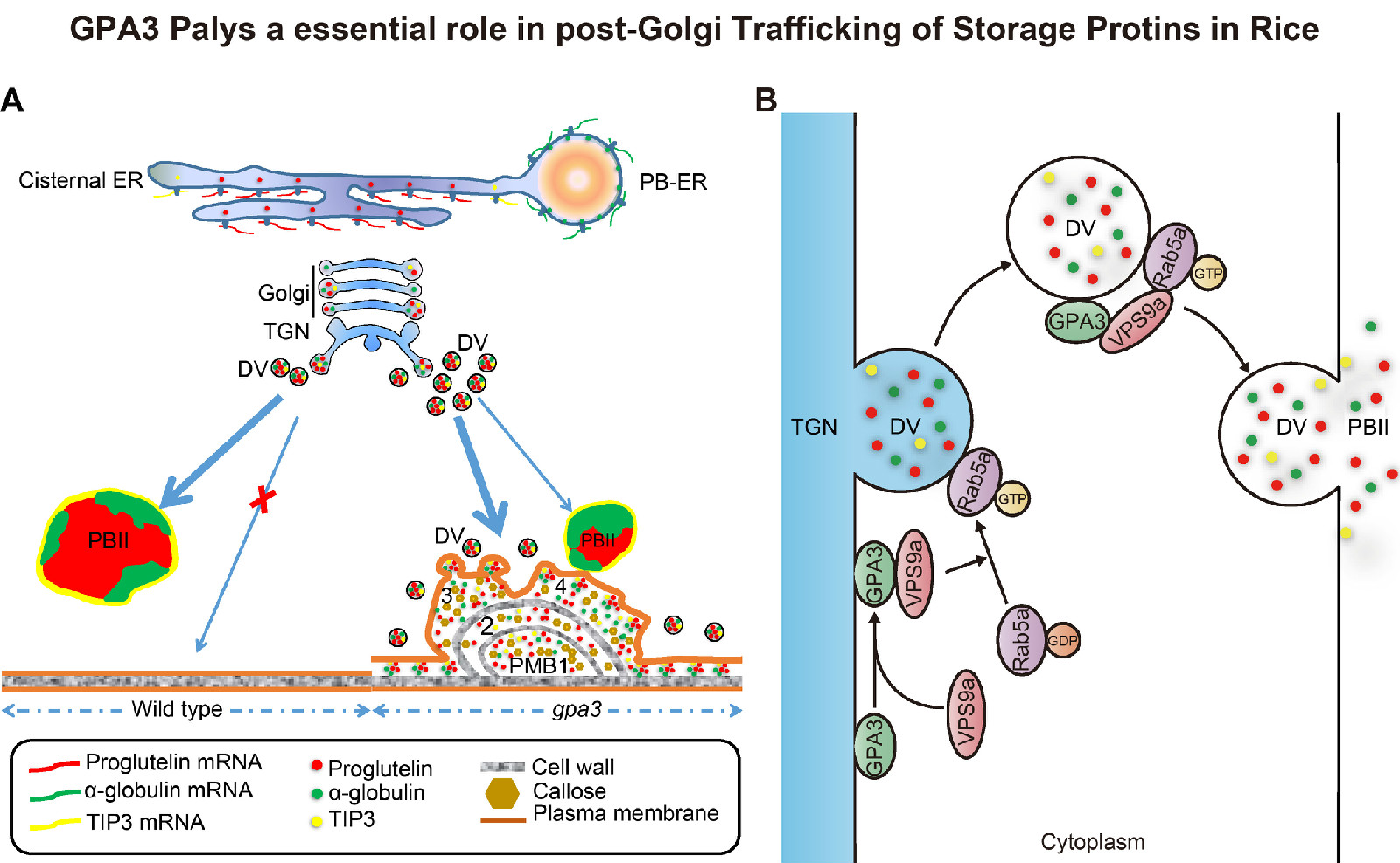 4-1封面加内容.jpg 4-1封面加内容.jpg