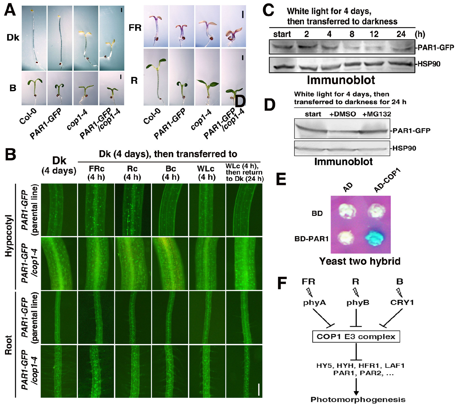 5-2 内容.jpg 5-2 内容.jpg