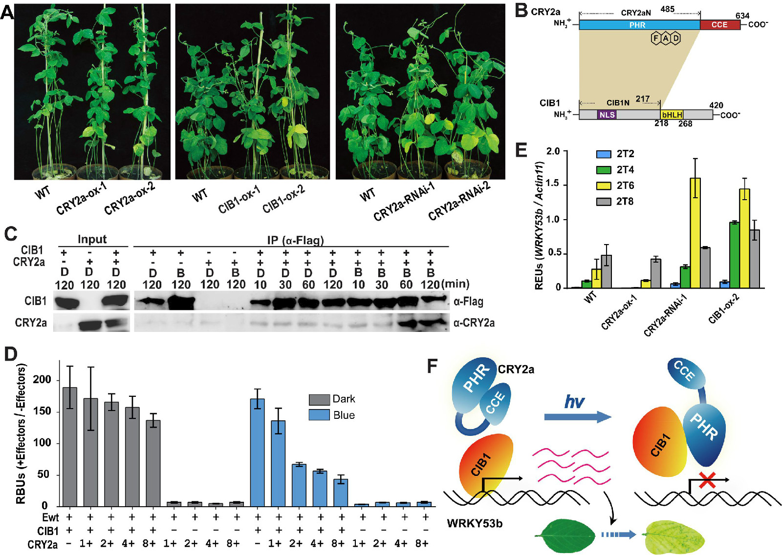 13-2内容.jpg 13-2内容.jpg