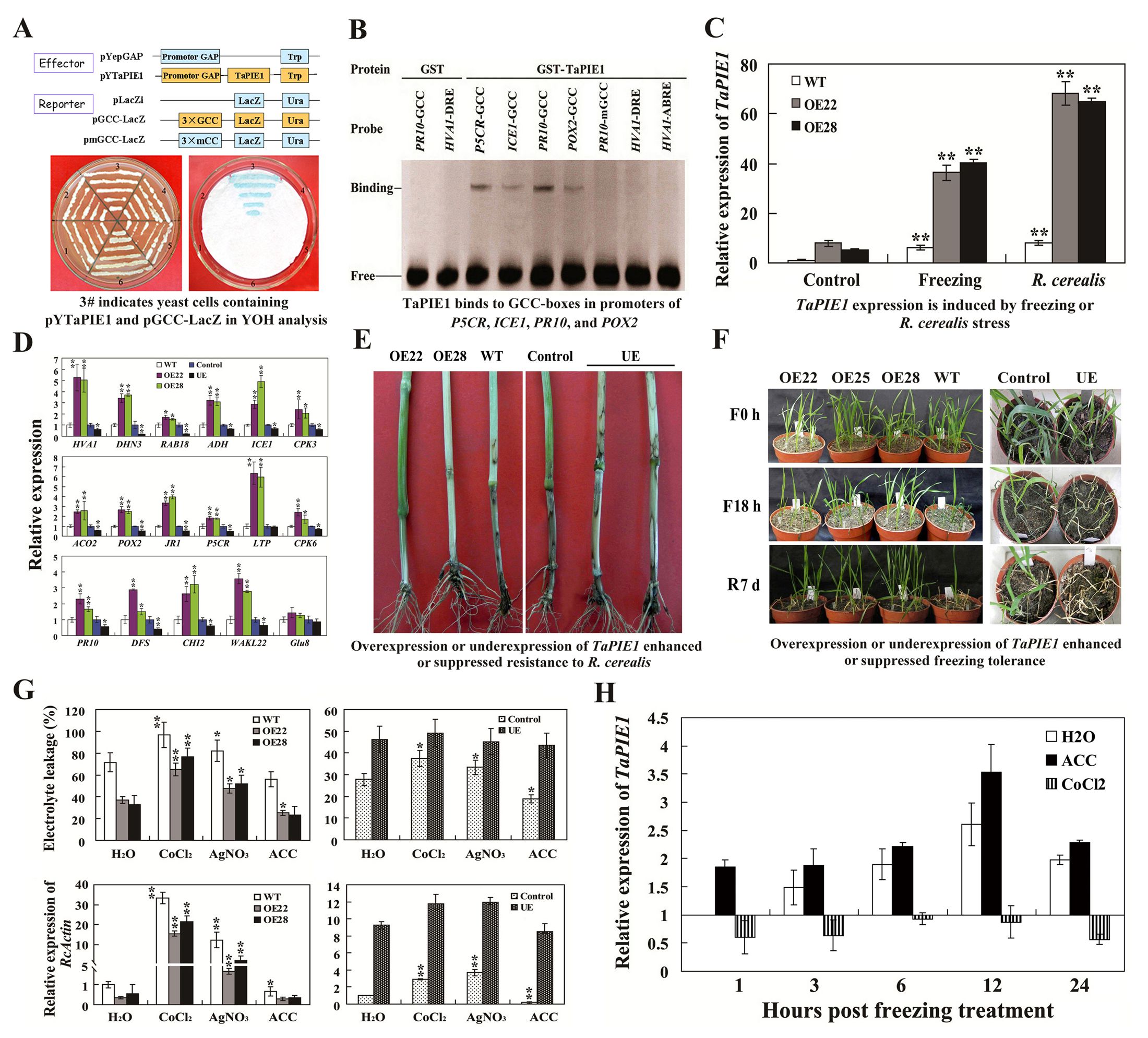 14-2内容.jpg 14-2内容.jpg