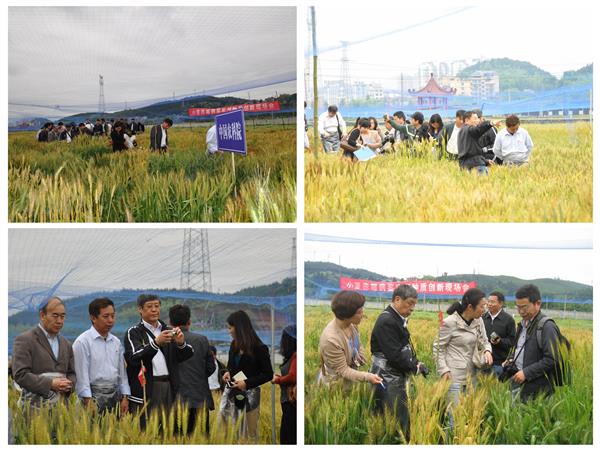 28内容.jpg 28内容.jpg