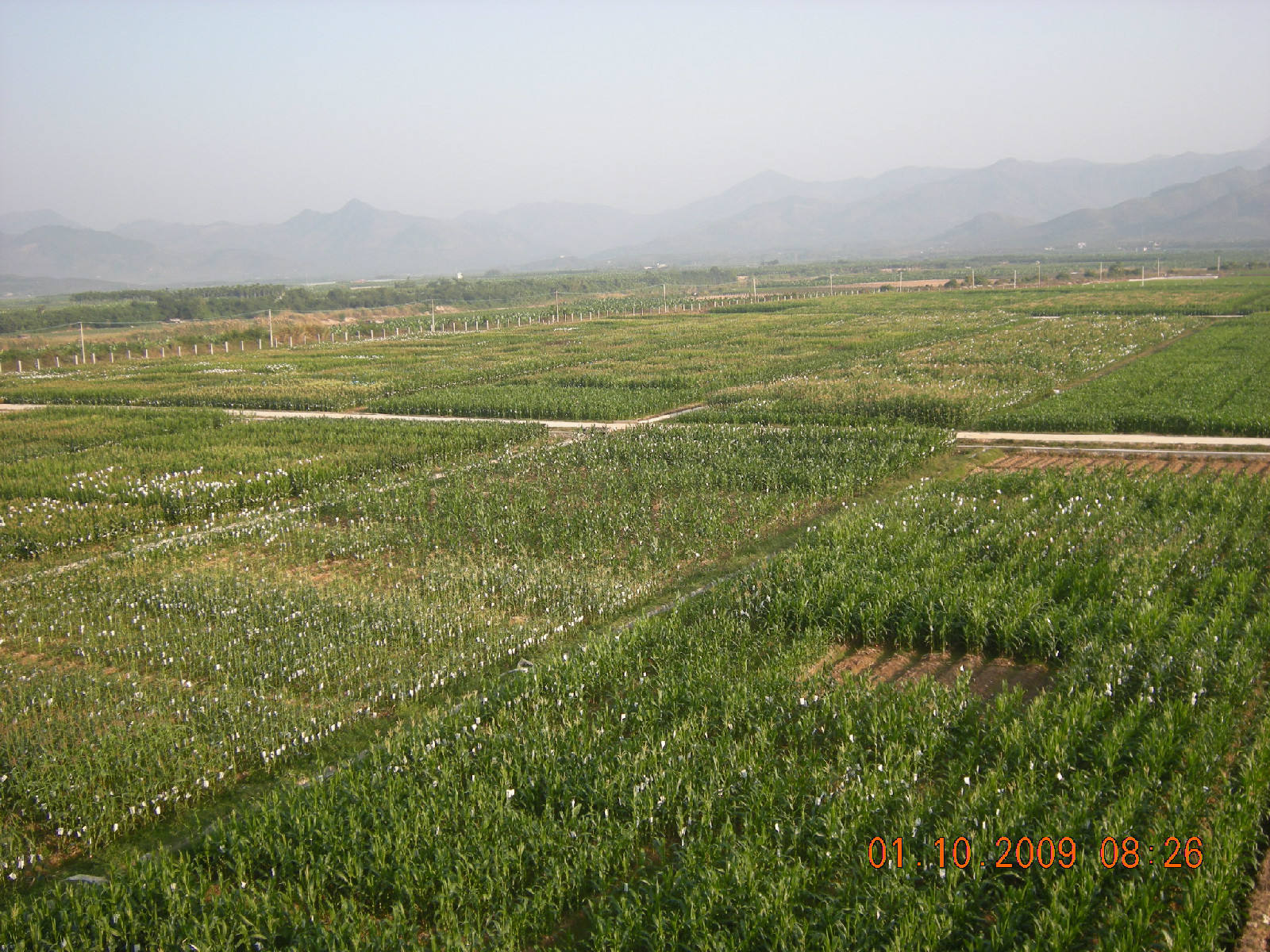 海南 (2).jpg 海南 (2).jpg