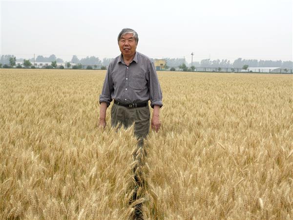 2014.6.4 004.-.201485115130thumb.jpg