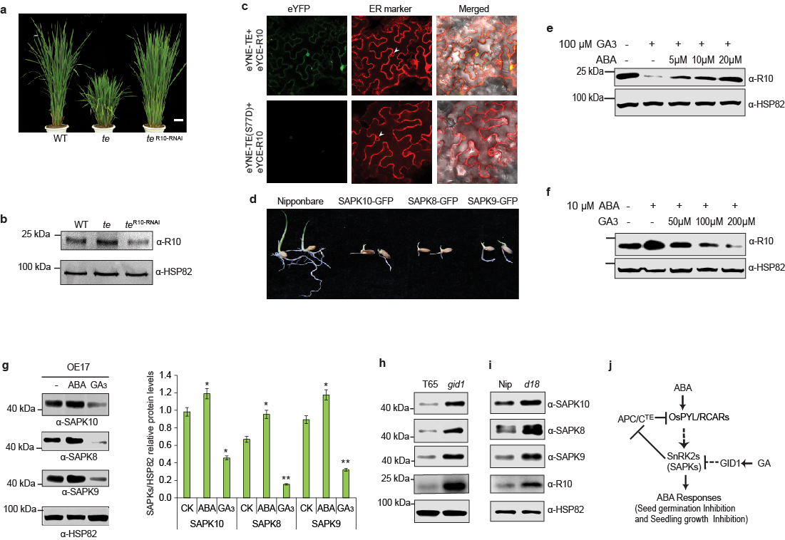新闻图稿.jpg 新闻图稿.jpg