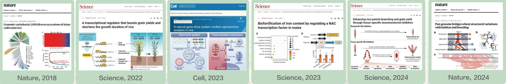 截屏2025-09-29 17.19.58.png