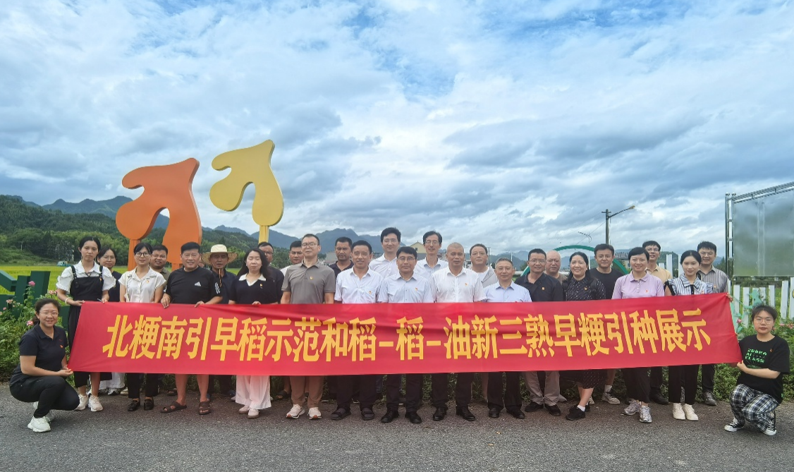 9894a2ff-eb4e-455d-a1a4-7d196d17fbe7.png