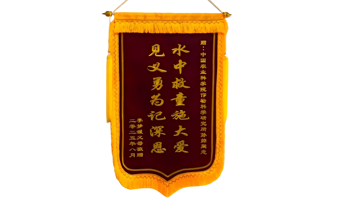 7547a0a8-c85b-44ac-9591-f54a1f70b2f9.png
