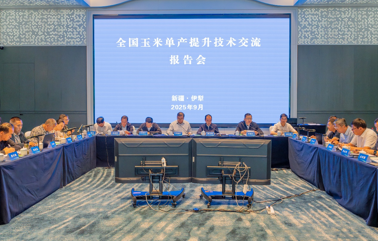 a12291ac-5eda-401e-aa82-bbfa71cd6a83.png
