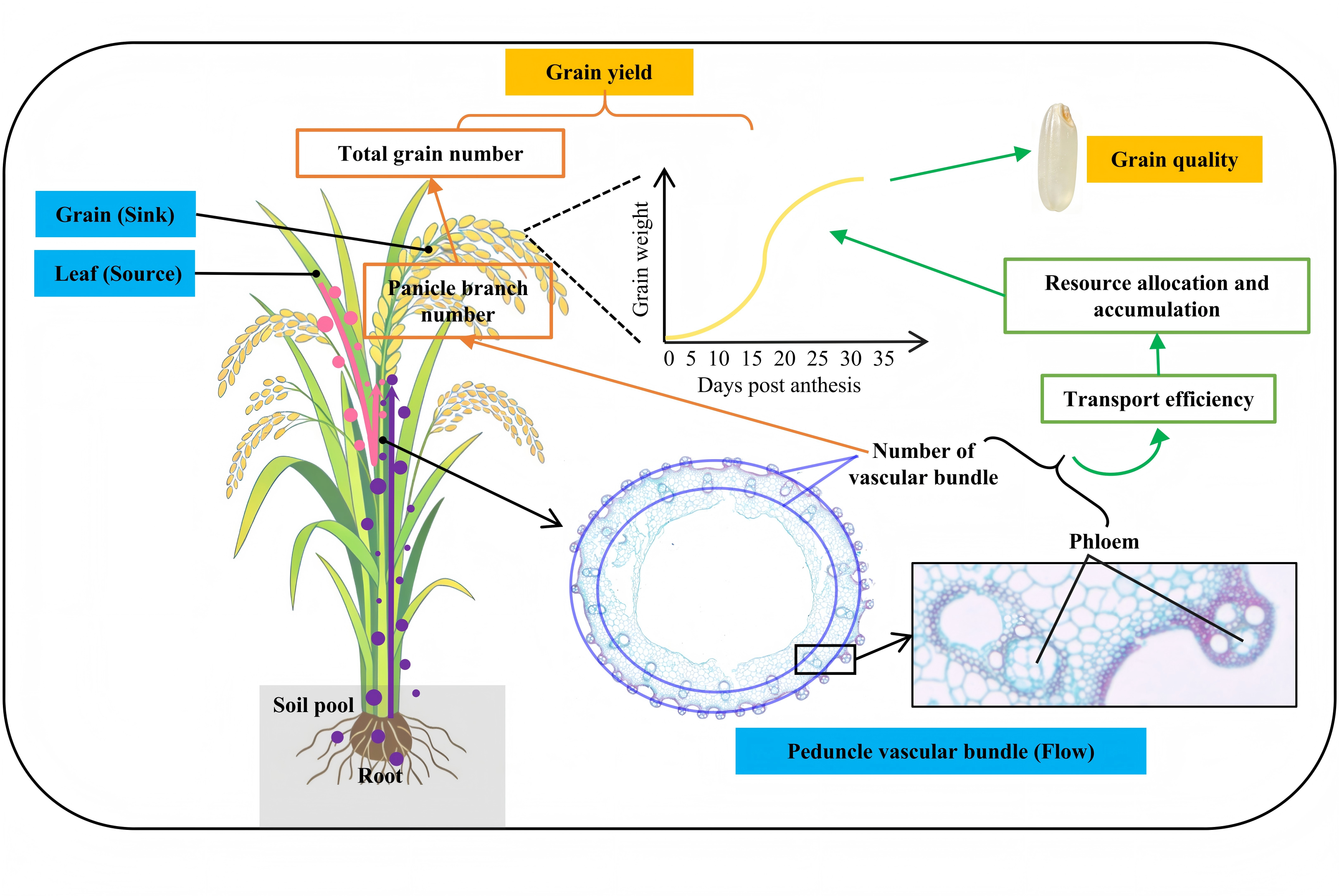 Fig. 7(1)_01(1).png