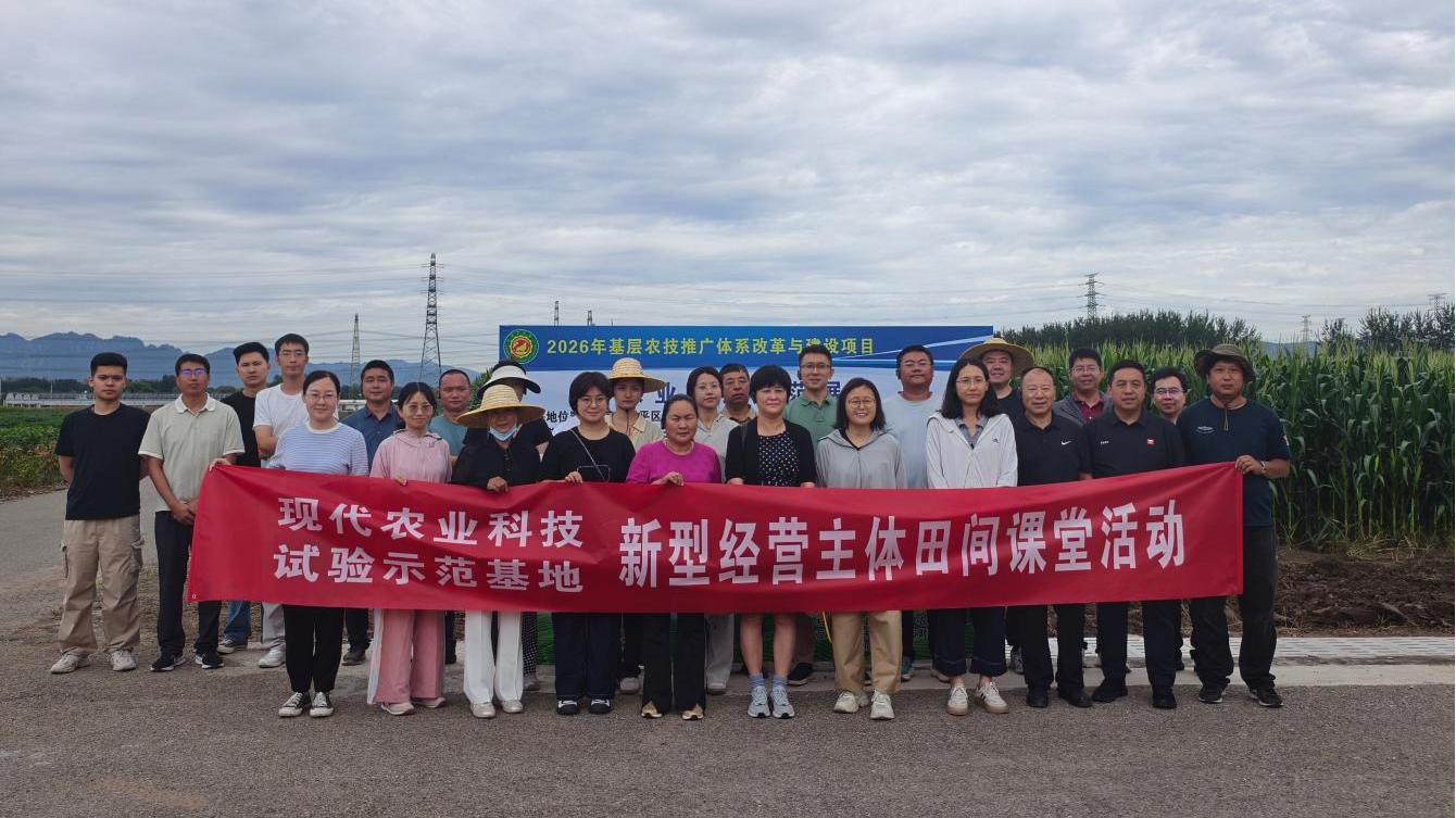 图片3(1).png