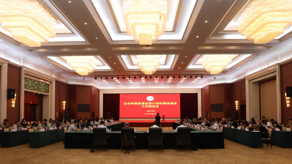图片1(1).png