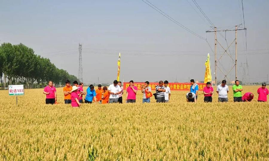 微信图片_20170609163636.jpg 微信图片_20170609163636.jpg