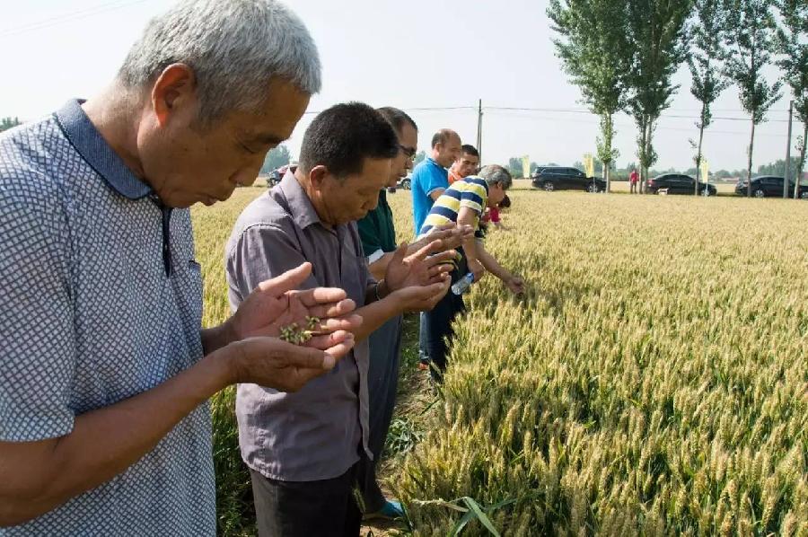 微信图片_20170609163646.jpg 微信图片_20170609163646.jpg