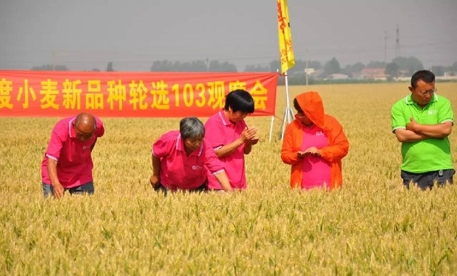 微信图片_20170609163653.jpg 微信图片_20170609163653.jpg