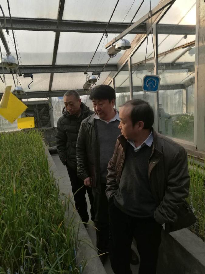 image003.jpg image003.jpg