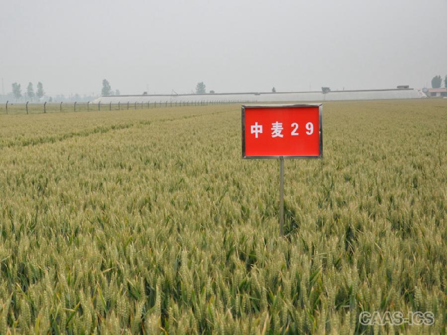 image003.jpg image003.jpg