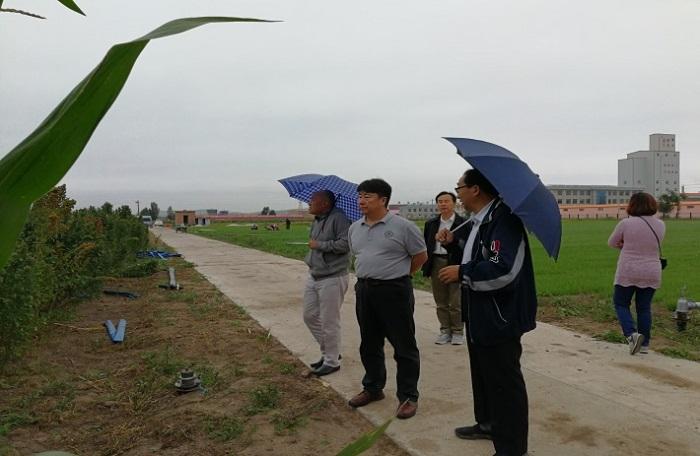 故园1.jpg 故园1.jpg