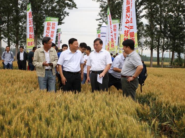 image002.jpg image002.jpg