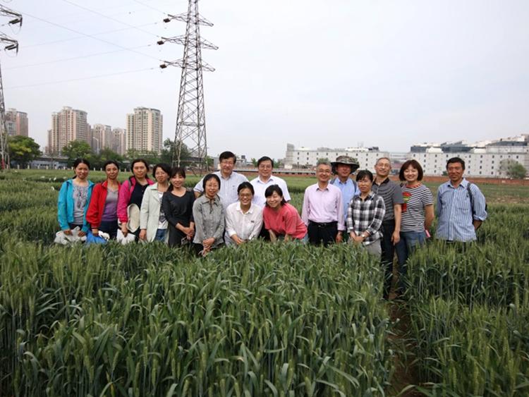 image001.jpg image001.jpg