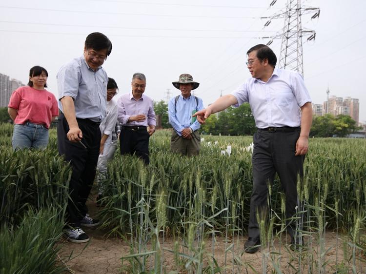 image005.jpg image005.jpg