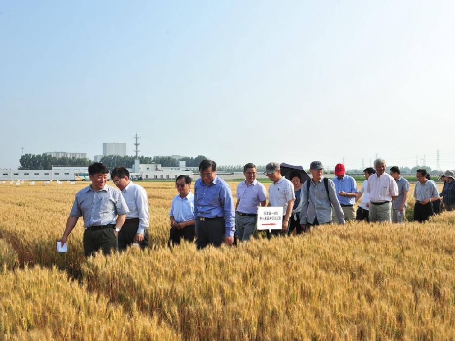 DSC_4163_副本.jpg DSC_4163_副本.jpg