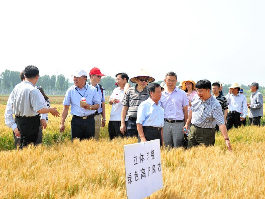 DSC_3913.JPG DSC_3913.JPG