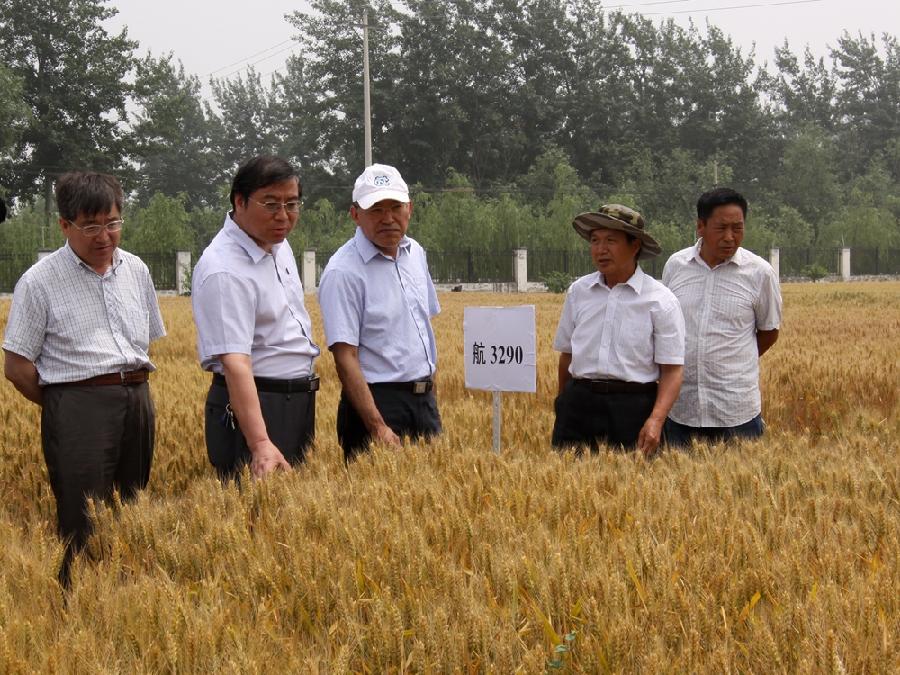 222(1).jpg 222(1).jpg