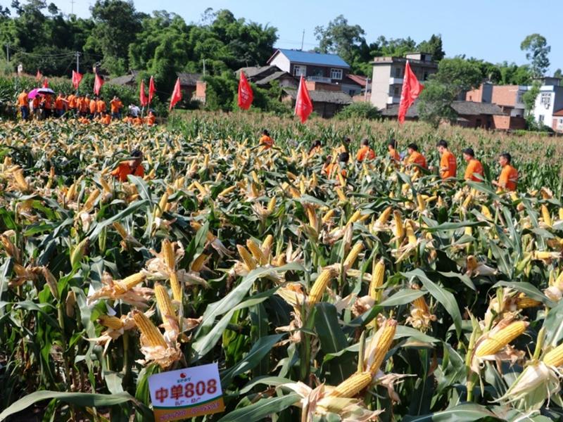 image001.jpg image001.jpg