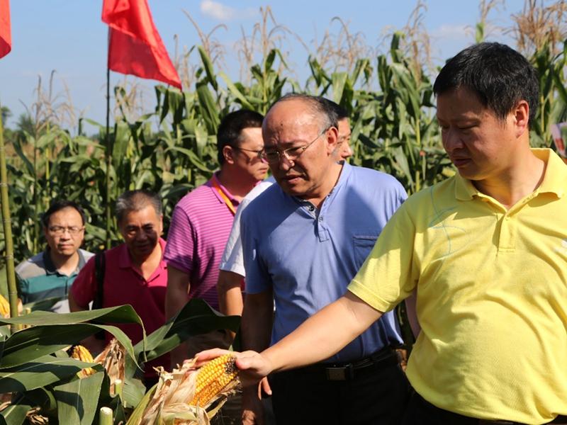 image003.jpg image003.jpg