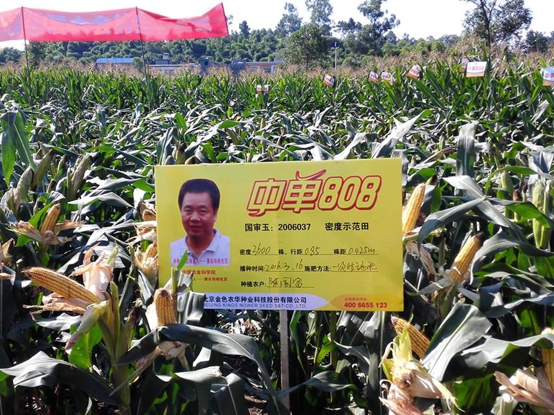 image007.jpg image007.jpg