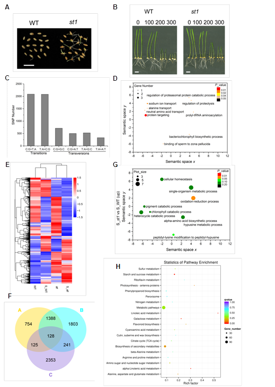 QQ图片20170605104714.png QQ图片20170605104714.png